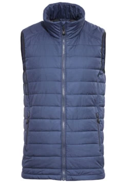 Axant Alps Quilt Vest Heren, Blauw