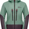 Jack Wolfskin Alpspitze 3L Jas Dames, Groen/violet 1 Jack Wolfskin Alpspitze 3L Jas Dames, Groen/violet -Winter Mode Winkel jack wolfskin alpspitze 3l jacket women granite green 1