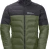 Jack Wolfskin Dna Tundra Donsjack Heren, Groen/grijs