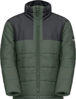 Jack Wolfskin Spirit Geïsoleerde Jas Jongeren, Groen/grijs