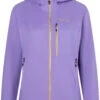 Marmot Ether DriClime Hoody Dames, Violet -Winter Mode Winkel marmot ether driclime hoody women paisley purple 1