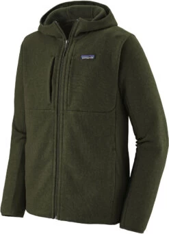 Patagonia Lightweight Better Sweater Hoody Heren, Groen