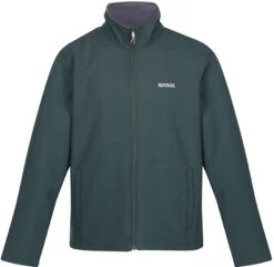 Regatta Cera V Jas Heren, Groen