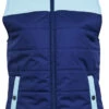 United By Blue Bison Puffer Vest Dames, Blauw