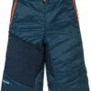 VAUDE Sesvenna III Korte Broek Heren, Blauw